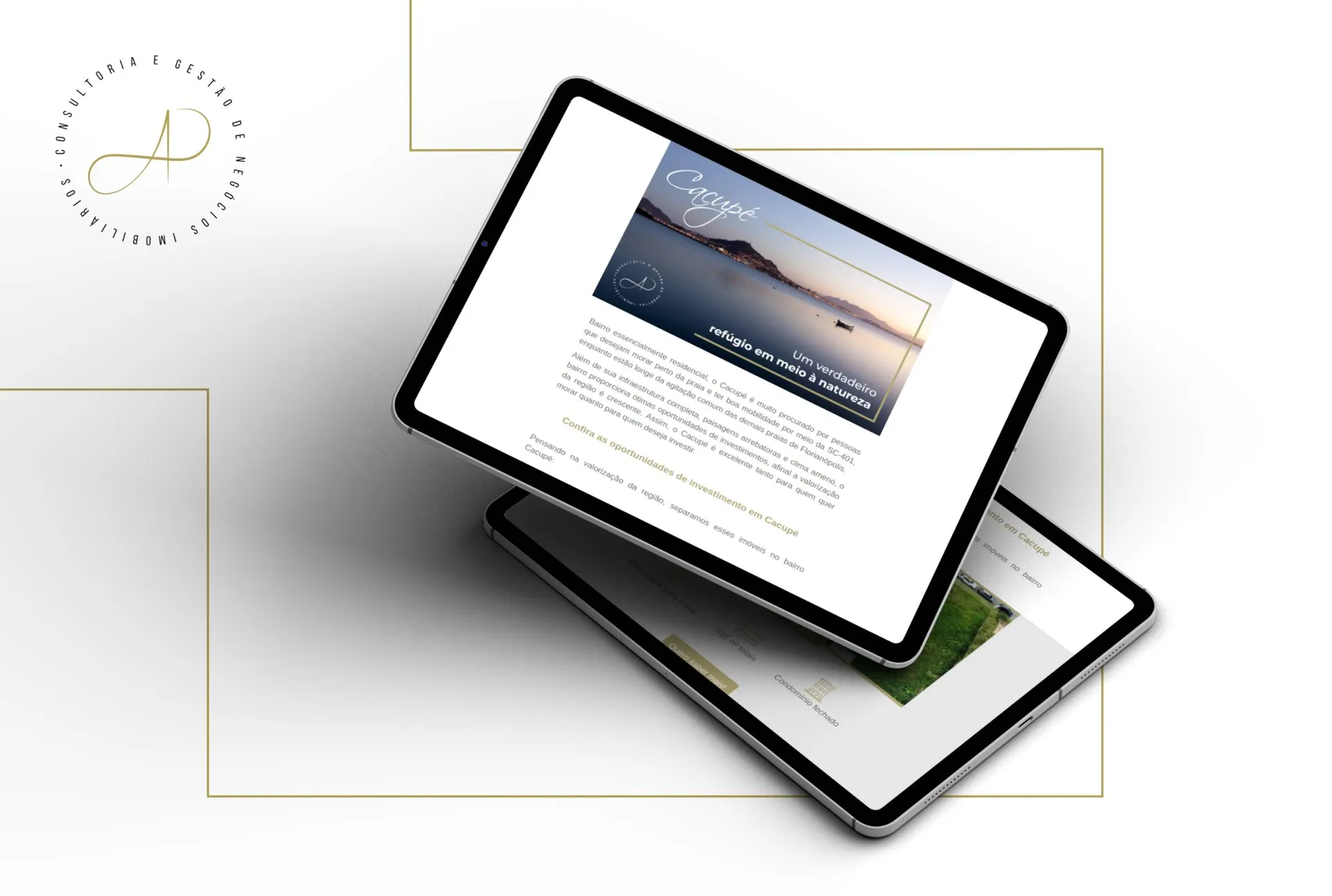 Email Marketing Ana Paula Dalcin — capa